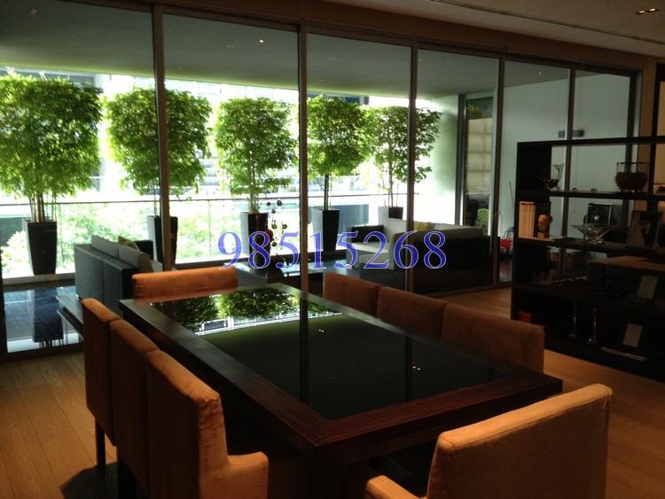 Nassim Park Residences (D10), Condominium #158019872